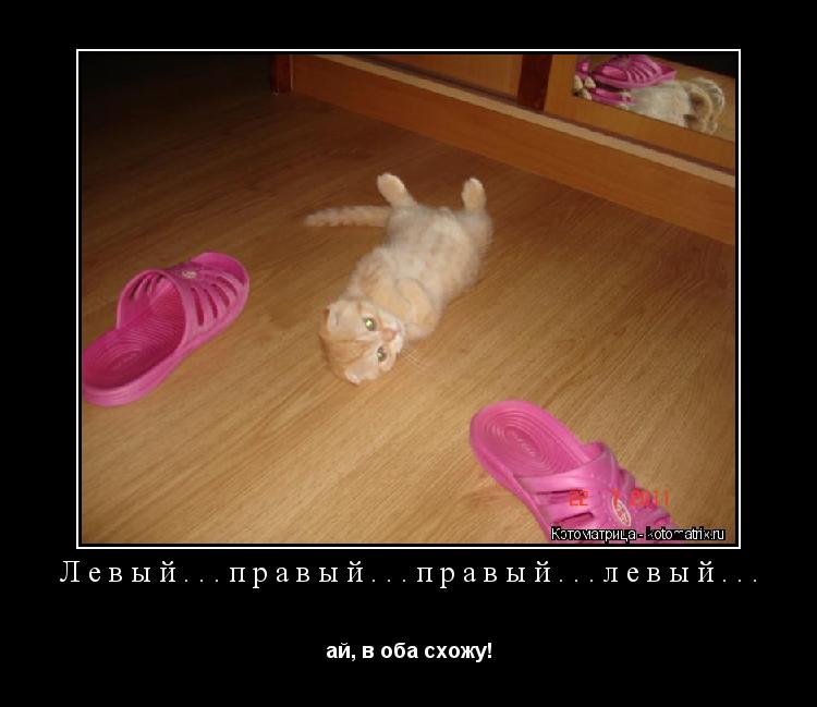 Котоматрица: Левый...правый...правый...левый... ай, в оба схожу!