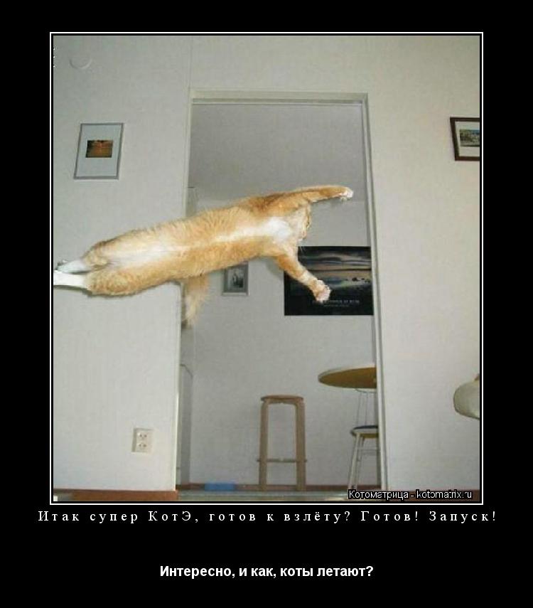 Котоматрица: Итак супер КотЭ, готов к взлёту? Готов! Запуск! Интересно, и как, коты летают?