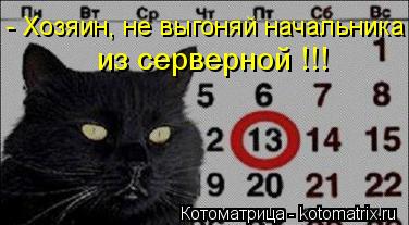 - Хозяин, не выгоняй начальника из серверной !!!... Котоматрица: - Хозяин, не выгоняй начальника из серверной !!!