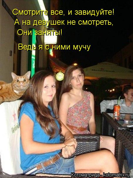 Котоматрица: Смотрите все, и завидуйте! А на девушек не смотреть,  Они заняты! Ведь я с ними мучу