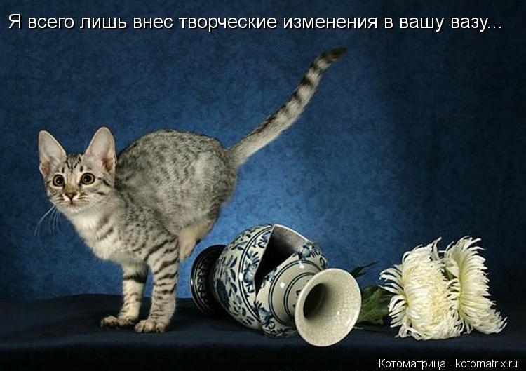 Котоматрица: Я всего лишь внес творческие изменения в вашу вазу...