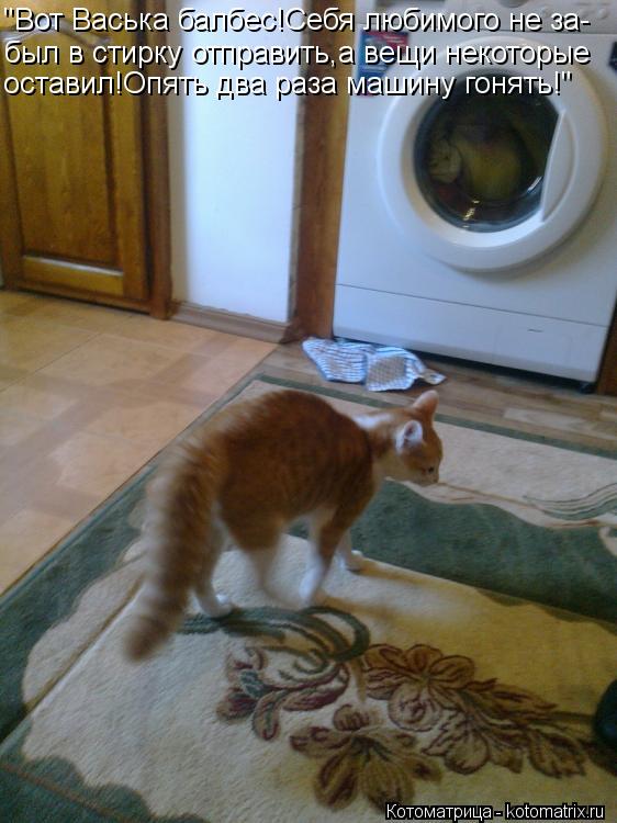 Котоматрица: "Вот Васька балбес!Себя любимого не за- был в стирку отправить,а вещи некоторые оставил!Опять два раза машину гонять!"