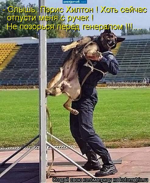 - Слышь, Пэрис Хилтон ! Хоть сейчас отпусти меня с ручек ! Не позорься перед генералом !!!....... Котоматрица: - Слышь, Пэрис Хилтон ! Хоть сейчас отпусти меня с ручек ! Не позорься перед генералом !!!....