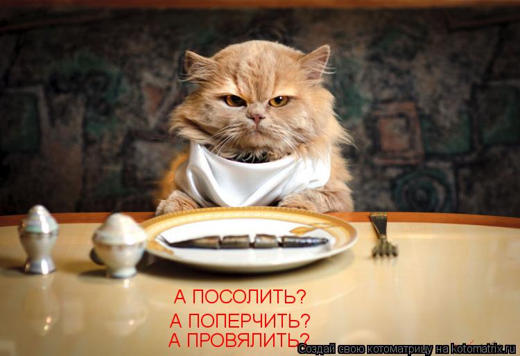 Котоматрица: А ПОСОЛИТЬ? А ПОПЕРЧИТЬ? А ПРОВЯЛИТЬ?