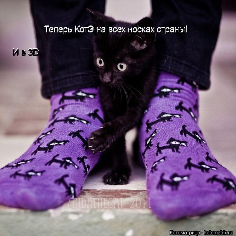 Котоматрица: Теперь КотЭ на всех носках страны! Теперь КотЭ на всех носках страны! И в 3D И в 3D И в 3D