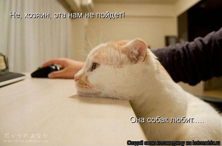Котоматрица: Не, хозяин, эта нам не пойдёт! Она собак любит.....
