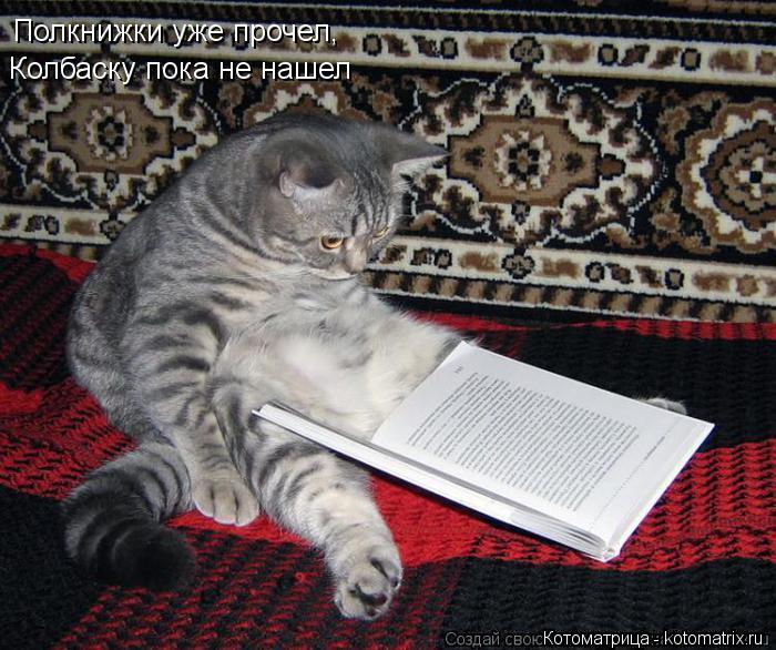 Котоматрица: Полкнижки уже прочел, Колбаску пока не нашел