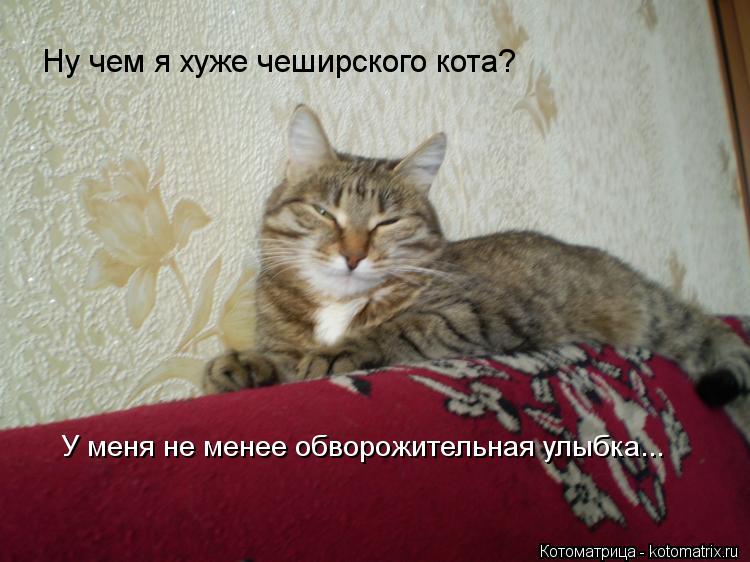 Ну чем я хуже чеширского кота? У меня не менее обворожительная улыбка...... Котоматрица: Ну чем я хуже чеширского кота? У меня не менее обворожительная улыбка...