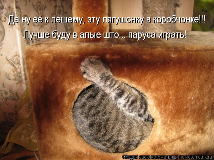Да ну её к лешему, эту лягушонку в коробчонке!!! Лучше буду в алые што... паруса играть!... Котоматрица: Да ну её к лешему, эту лягушонку в коробчонке!!! Лучше буду в алые што... паруса играть!