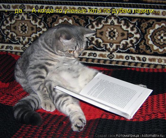Котоматрица: - .. да.... А когда-то ученые коты по дубам лазили....