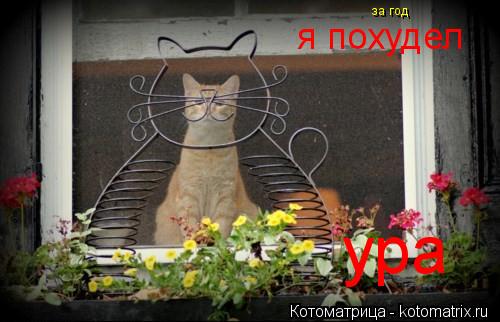 Котоматрица: ура   я похудел за год