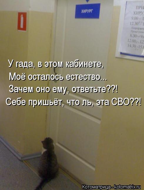 Котоматрица: У гада, в этом кабинете, Моё осталось естество... Зачем оно ему, ответьте??! Себе пришьёт, что ль, эта СВО??!