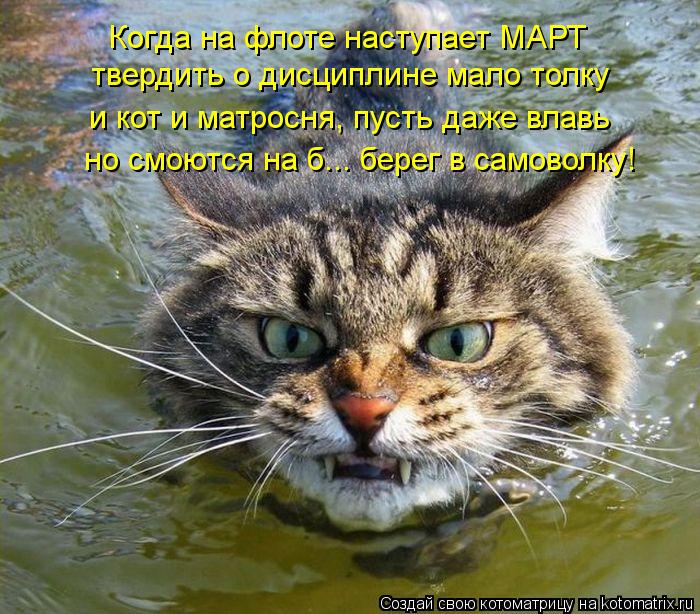 Котоматрица: Когда на флоте наступает МАРТ твердить о дисциплине мало толку и кот и матросня, пусть даже влавь но смоются на б... берег в самоволку!