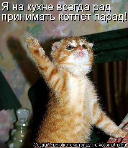Котоматрица: Я на кухне всегда рад принимать котлет парад!!!