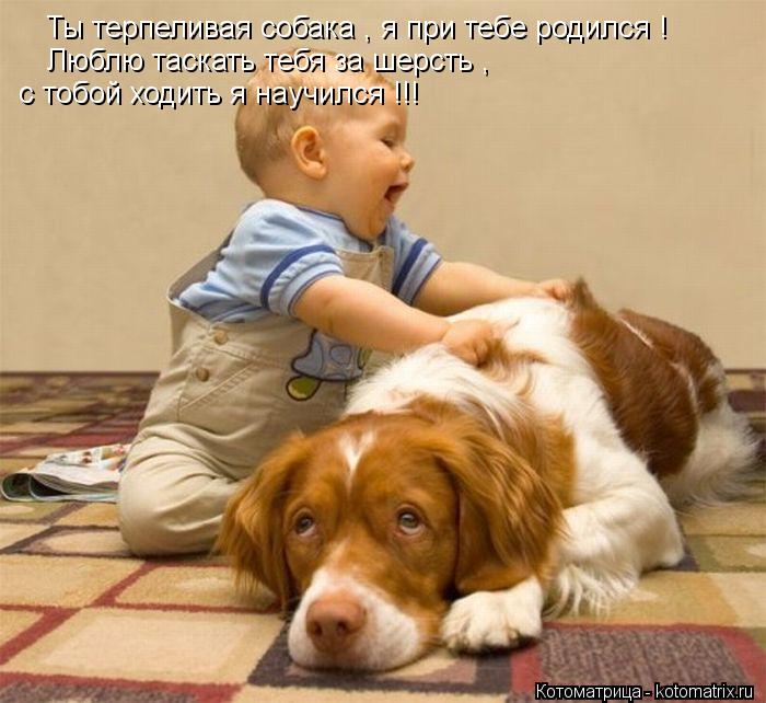 Котоматрица: Ты терпеливая собака , я при тебе родился ! Люблю таскать тебя за шерсть ,  с тобой ходить я научился !!!