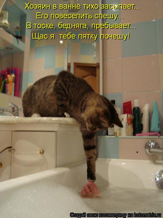 Котоматрица: Хозяин в ванне тихо засыпает... Его повеселить спешу... В тоске, бедняга, пребывает... Щас я  тебе пятку почешу!
