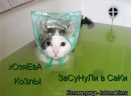 Котоматрица: хОзяЕвА КоЗлЫ ЗаСуНуЛи в СаКи