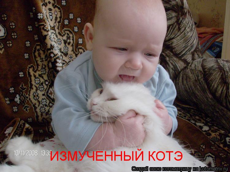 Котоматрица: ИЗМУЧЕННЫЙ КОТЭ
