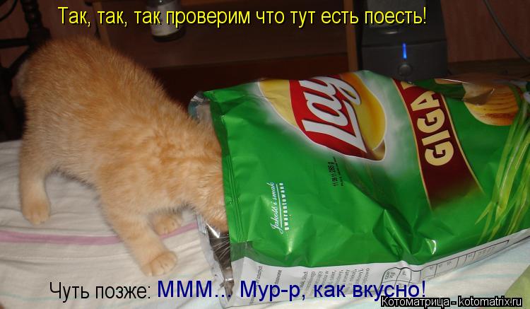 Так, так, так проверим что тут есть поесть! Чуть позже: МММ... Мур-р, как вкусно!... Котоматрица: Так, так, так проверим что тут есть поесть! Чуть позже: МММ... Мур-р, как вкусно!
