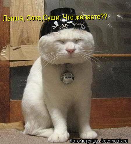Котоматрица: Лапша, Соке,Суши. Что желаете??
