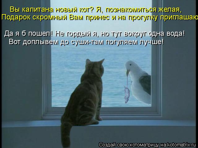 Котоматрица: Вы капитана новый кот? Я, познакомиться желая, Подарок скромный Вам принес и на прогулку приглашаю! Да я б пошел! Не гордый я, но тут вокруг од