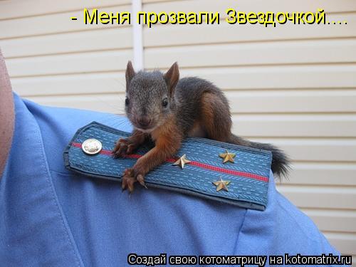 Котоматрица: - Меня прозвали Звездочкой....