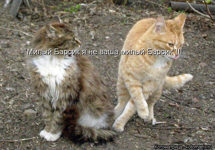Котоматрица: -"Милый Барсик,я не ваша,милый Барсик"!!!