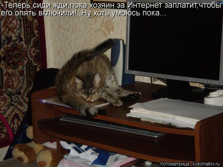 Котоматрица: -Теперь сиди жди,пока хозяин за Интернет заплатит,чтобы его опять включили!..Ну хоть умоюсь пока...