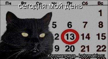 Котоматрица: сегодня мой день