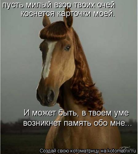 Котоматрица: пусть милый взор твоих очей  коснется карточки моей. И может быть, в твоем уме возникнет память обо мне...