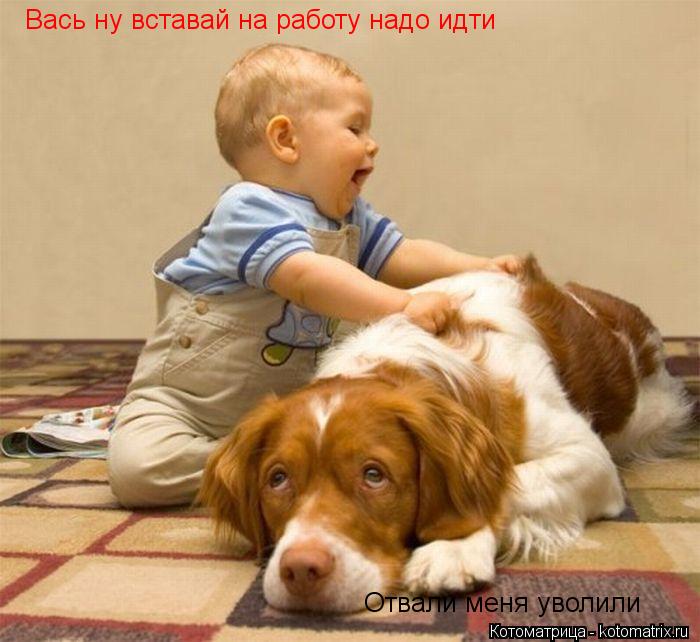 Вась ну вставай на работу надо идти Отвали меня уволили... Котоматрица: Вась ну вставай на работу надо идти Отвали меня уволили