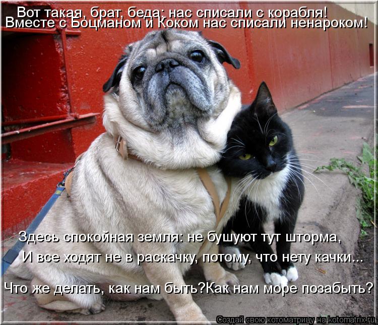 Котоматрица: Вот такая, брат, беда: нас списали с корабля! Вместе с Боцманом и Коком нас списали ненароком! Здесь спокойная земля: не бушуют тут шторма, И в