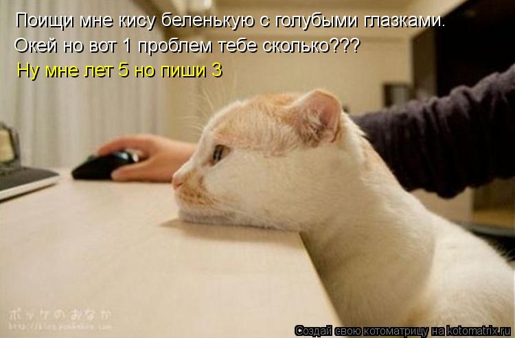 Котоматрица: Поищи мне кису беленькую с голубыми глазками. Окей но вот 1 проблем тебе сколько??? Ну мне лет 5 но пиши 3