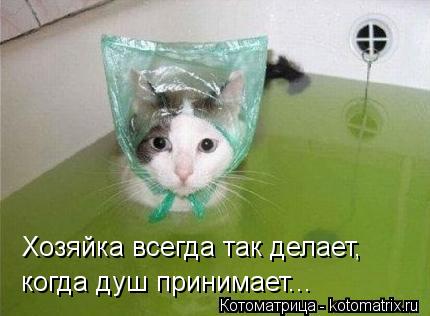Котоматрица: Хозяйка всегда так делает, когда душ принимает...