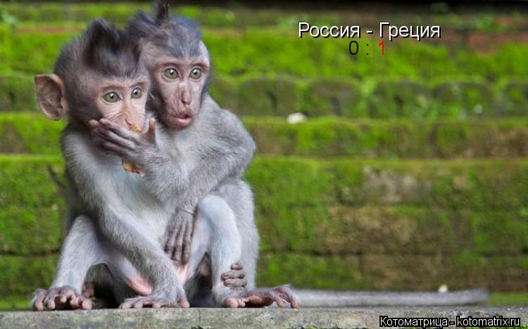 Котоматрица: Россия - Греция  0 :  1