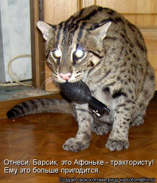 Котоматрица: Отнеси, Барсик, это Афоньке - трактористу! Ему это больше пригодится.