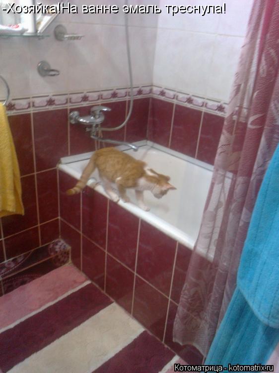 Котоматрица: -Хозяйка!На ванне эмаль треснула!