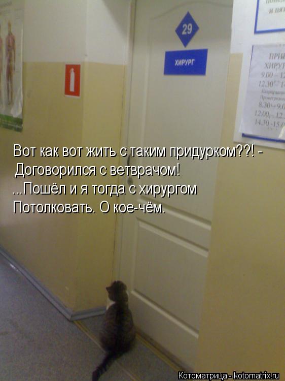 Котоматрица: Вот как вот жить с таким придурком??! - Договорился с ветврачом! ...Пошёл и я тогда с хирургом Потолковать. О кое-чём.