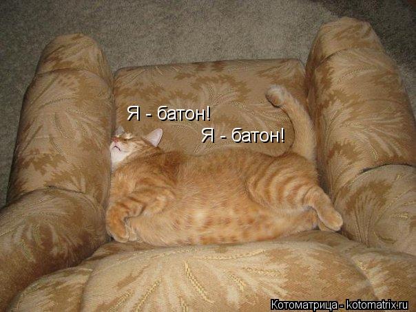 Котоматрица: Я - батон! Я - батон!