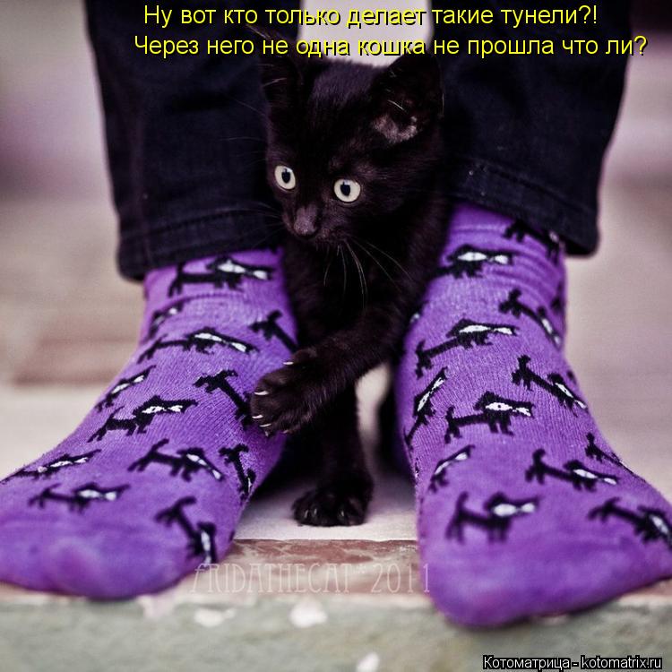 Котоматрица: Ну вот кто только делает такие тунели?! Через него не одна кошка не прошла что ли?