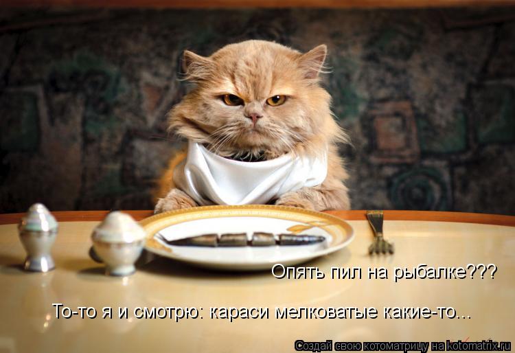 Котоматрица: Опять пил на рыбалке??? То-то я и смотрю: караси мелковатые какие-то...
