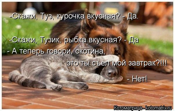 -Скажи, Тузик, рыбка вкусная? - Да -Скажи, Туз, курочка вкусная? - Да. - А теперь говори, скотина, ... Котоматрица: -Скажи, Тузик, рыбка вкусная? - Да -Скажи, Туз, курочка вкусная? - Да. - А теперь говори, скотина, это ты съел мой завтрак?!!! - Нет!