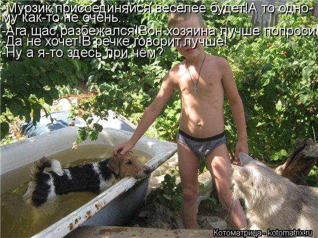 Котоматрица: -Мурзик,присоединяйся,веселее будет!А то одно- му как-то не очень... -Ага,щас,разбежался!Вон хозяина лучше попроси! -Да не хочет!В речке,говори