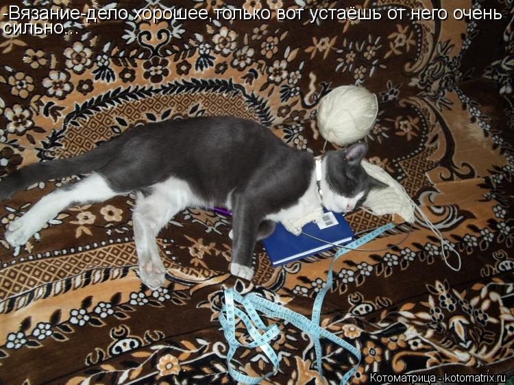 Котоматрица: -Вязание-дело хорошее,только вот устаёшь от него очень сильно...