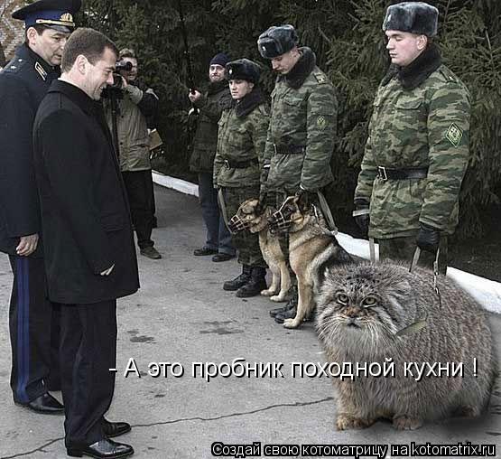 Котоматрица: - А это пробник походной кухни !