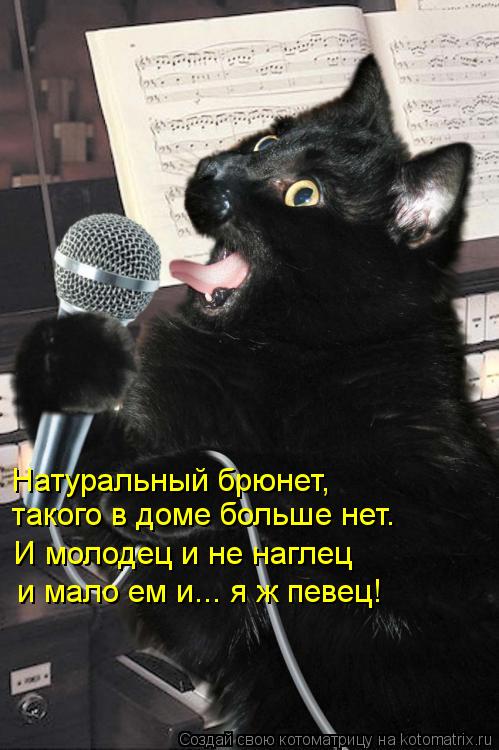 Котоматрица: Натуральный брюнет,   такого в доме больше нет.  И молодец и не наглец  и мало ем и... я ж певец!