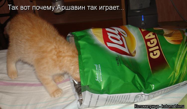 Котоматрица: Так вот почему Аршавин так играет...