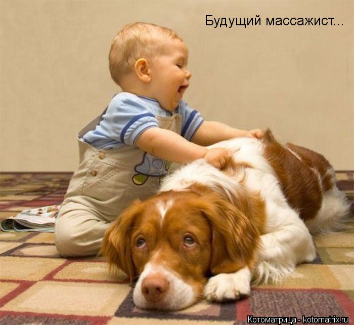 Котоматрица: Будущий массажист...