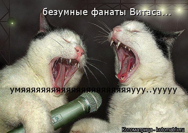 Котоматрица: безумные фанаты Витаса... умяяяяяяяяяяяяяяяяяяяяяяууу..ууууу
