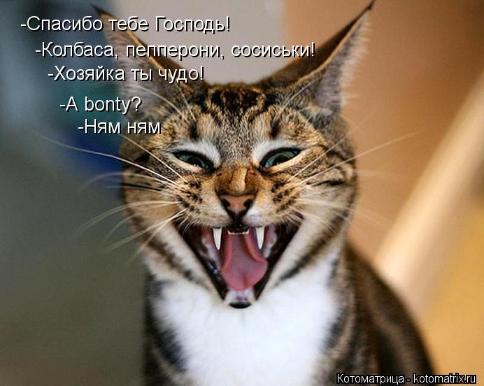 Котоматрица: -Спасибо тебе Господь! -Колбаса, пепперони, сосиськи! -Хозяйка ты чудо! -А bonty? -Ням ням